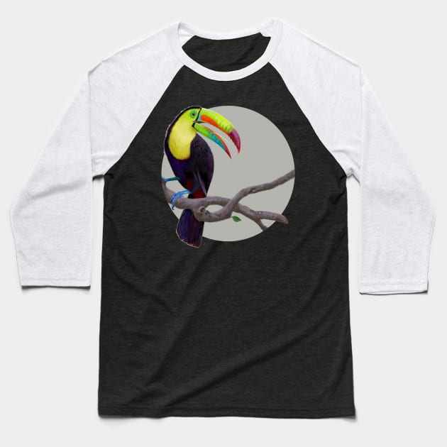 Keel-Billed Toucan Baseball T-Shirt by Oniomsra